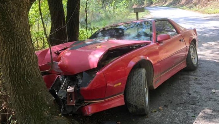 Car vs tree