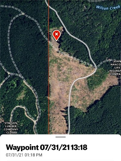 Elk poaching location 400