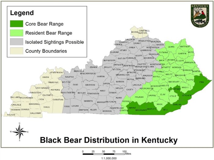 BLACK BEAR Dist. MAP KY