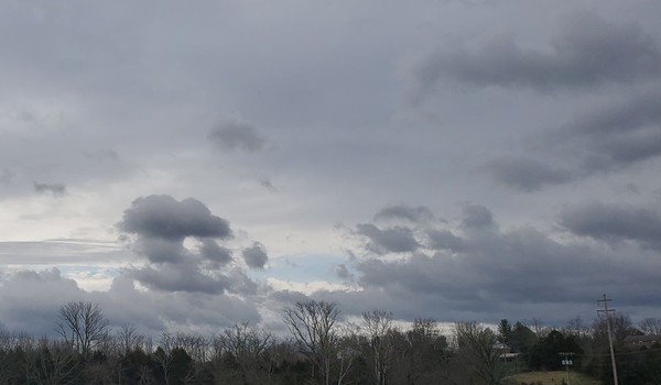 Stormy Berea 600