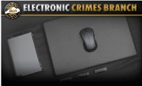 CYBER ELECTRONIC CRIMES BRANCH.200