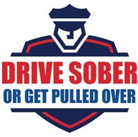 Drive Sober 200 logo