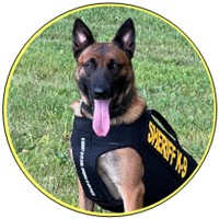 K 9 ROCKY Pulaski 200